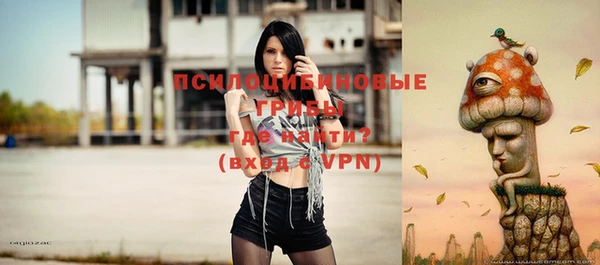стафф Абинск