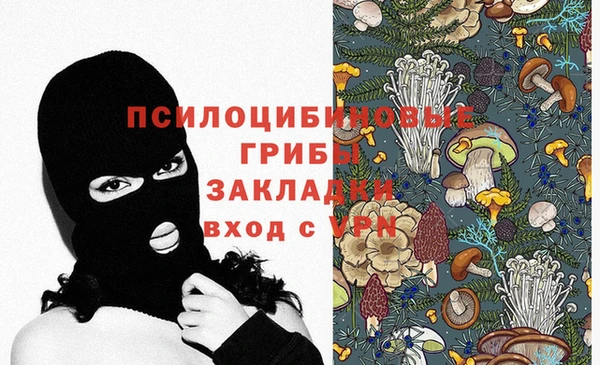 сатива Абдулино