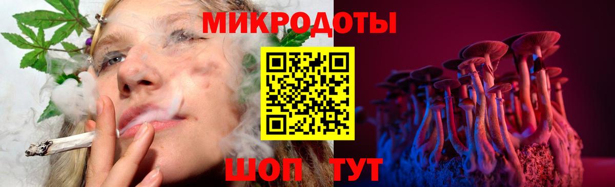Псилоцибиновые грибы Psilocybine cubensis  купить   Ртищево  Вход с VPN 